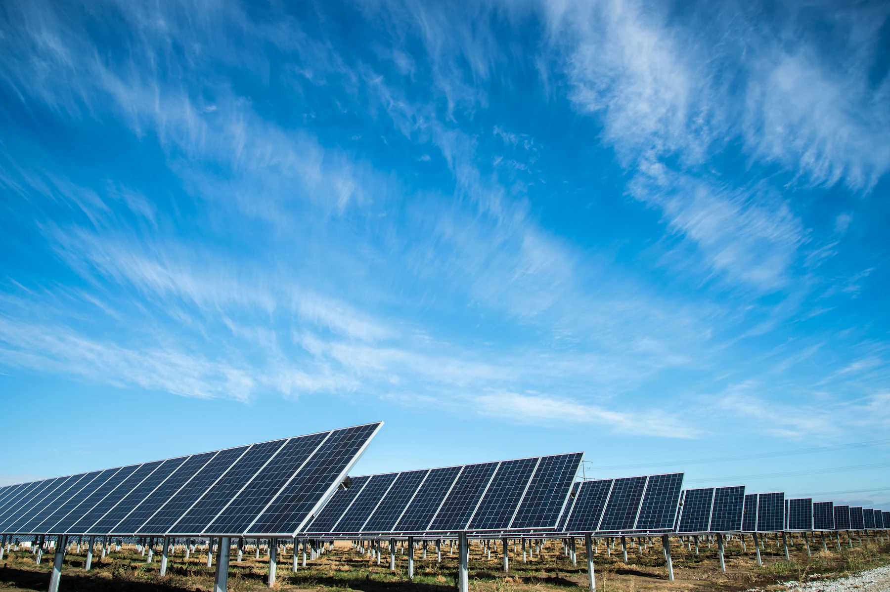 Fileiras de painéis solares de uma usina sob céu azul